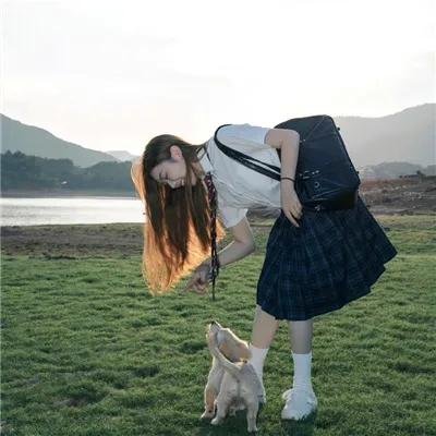 顽皮豹之子